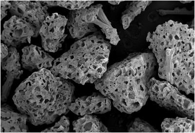 Osteoporotic Goat Spine Implantation Study Using a Synthetic, Resorbable Ca/P/S-Based Bone Substitute